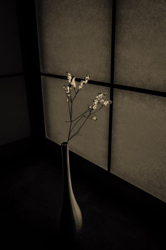 Paul Cupido, Uoon, 2019