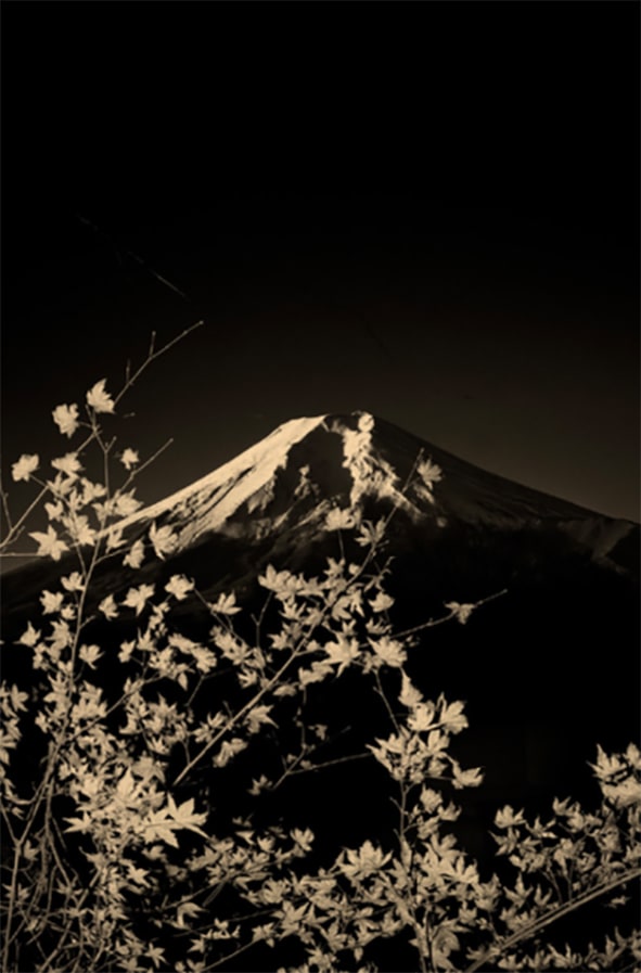 Paul Cupido, Fuji #3, 2019