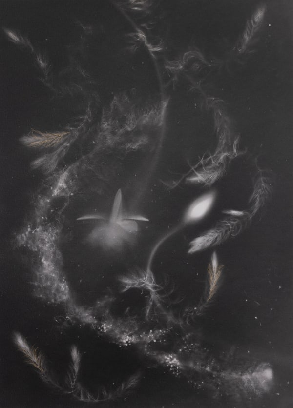 Yumiko Izu, 2020 Utsuroi 156_G1, 2020