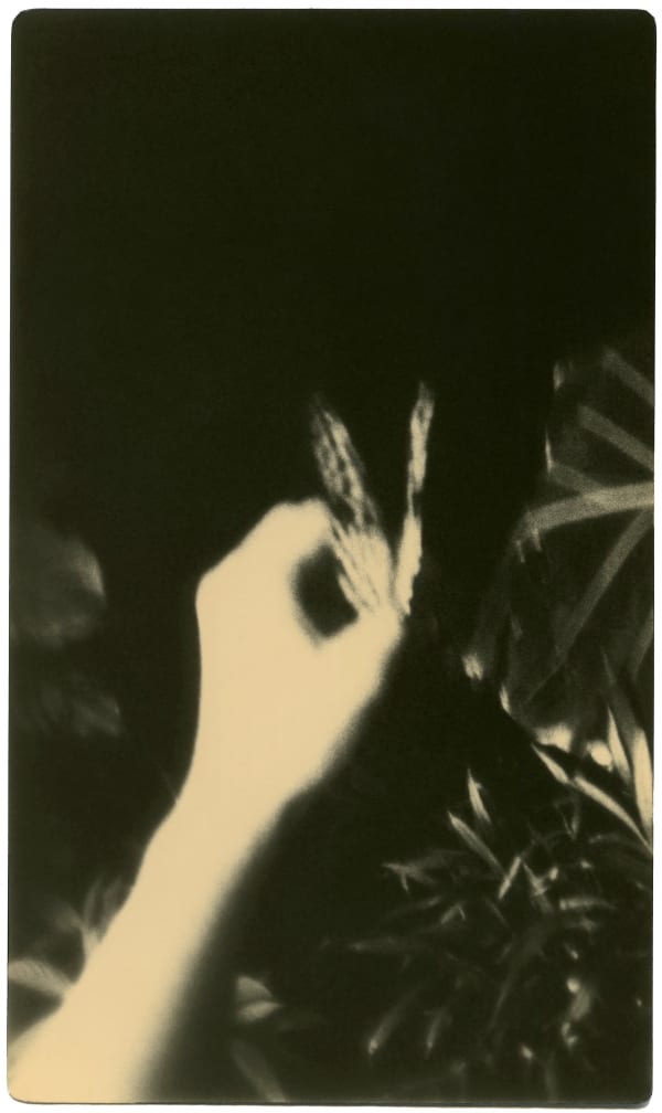 Miho Kajioka, BK0064, 2014