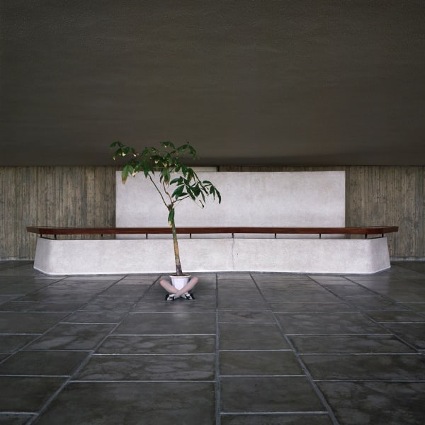 Sarah Van Marcke, Japan Mimicry 04, 2010