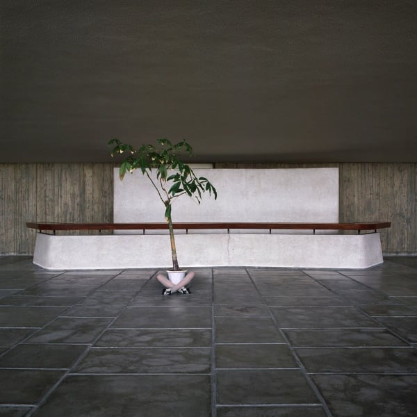 Sarah Van Marcke, Japan Mimicry 04, 2010