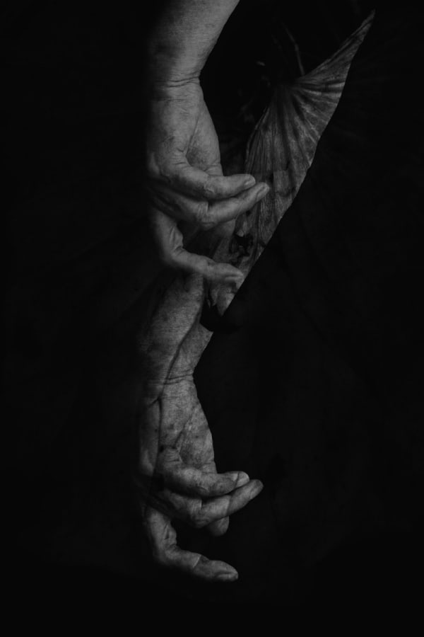 Yoko Mazuki, Torn lotus/left hand 01, 2024