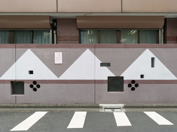 Bert Danckaert, True Nature #102 (Tokyo), 2019