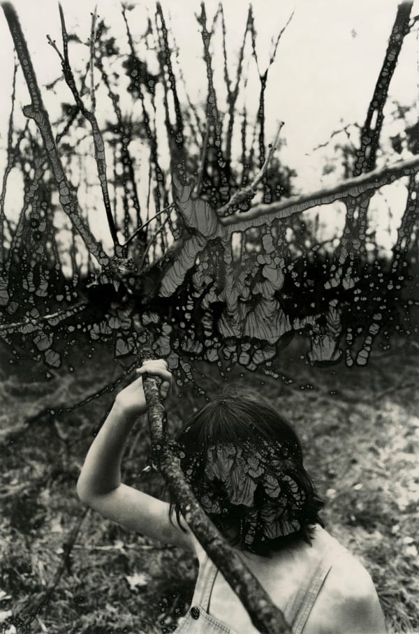 Ingrid Dorner, Liminal.III.19, 2025