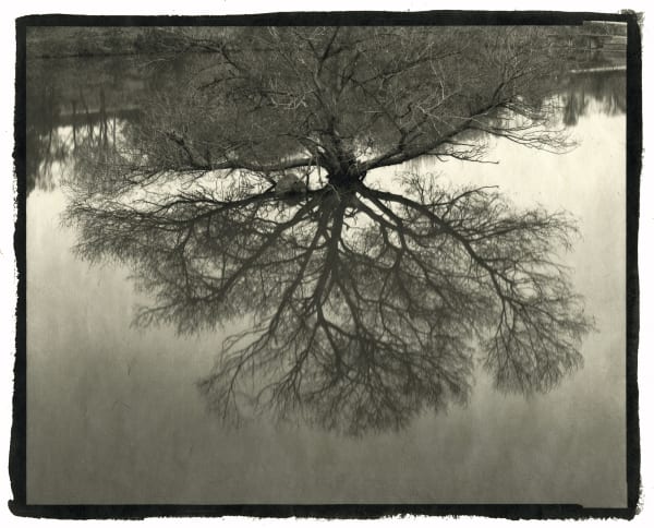 Nobuyuki Kobayashi, syouucyuu 2, 2006