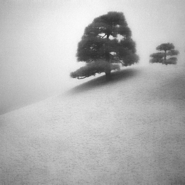 Toshiya Watanabe, Beyond what you see #14, 2018