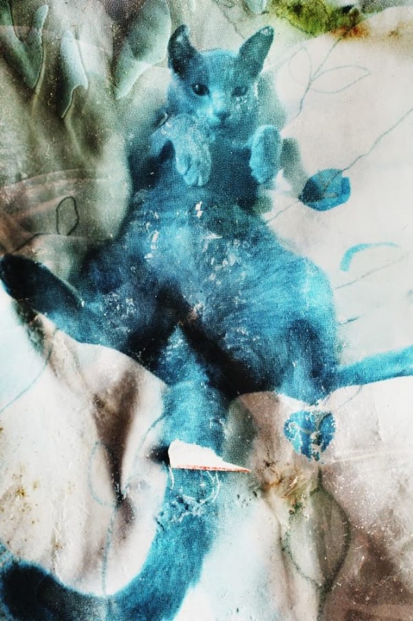 NEKO Project, Takashi Kuraya - Untitled