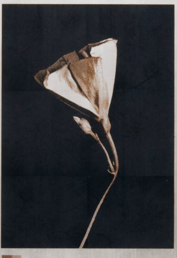 Norio Takasugi, gb-3, 2018