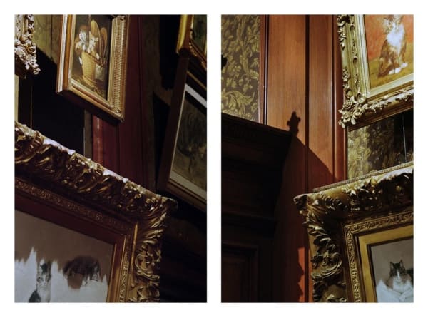 NEKO Project, Shinji Otani - Untitled, 2018