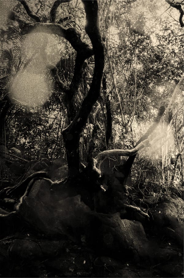 Paul Cupido, Ishigaki, 2019