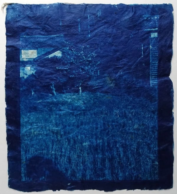 Mika Horie, Sasanqua, 2015