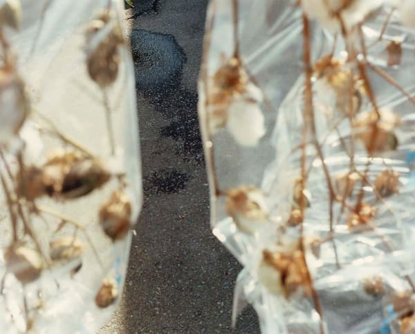 Yoko Ikeda, 0906-01 Hita City, Oita Prefecture, 2011