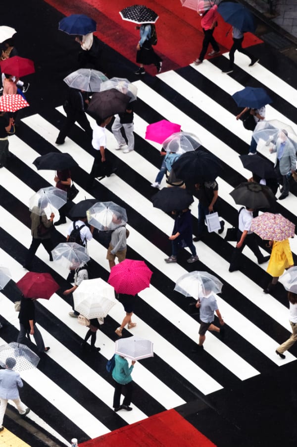 Yoshinori Mizutani, Rain 032, 2015
