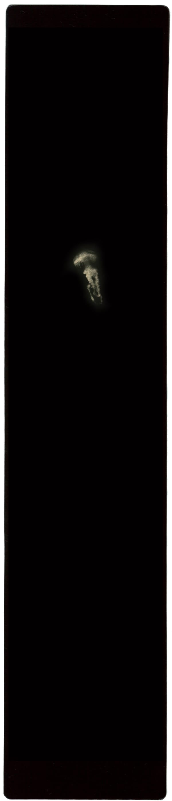 Miho Kajioka, BK0204, 2016