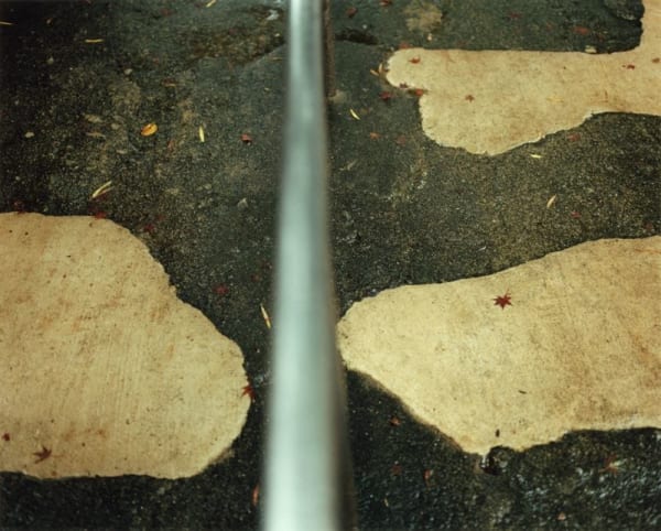 Yoko Ikeda, 1317-07 Shimonoseki City, Yamaguchi Prefecture, Japan, 2015