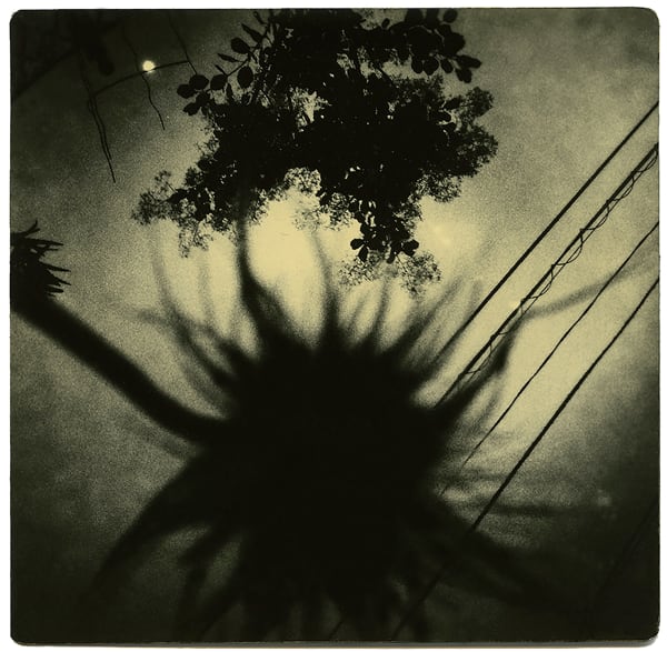 Miho Kajioka, BK0282, 2016