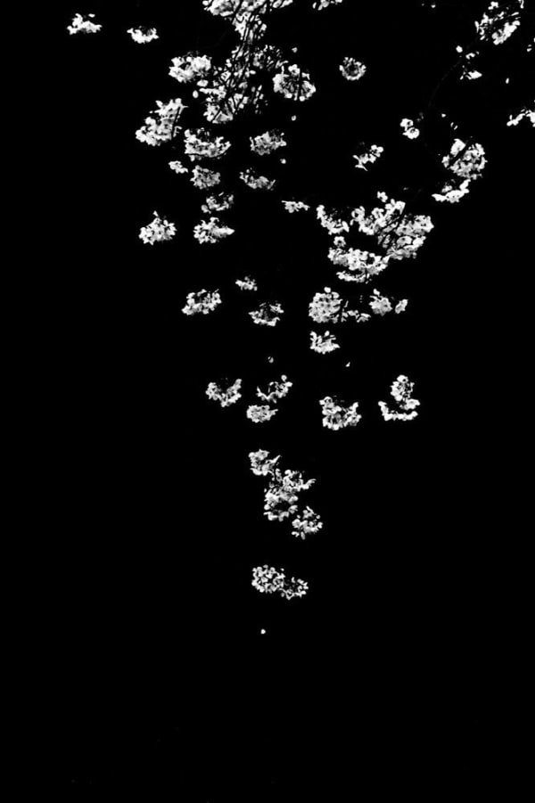 Munemasa Takahashi, Laying Stones 043, 2014