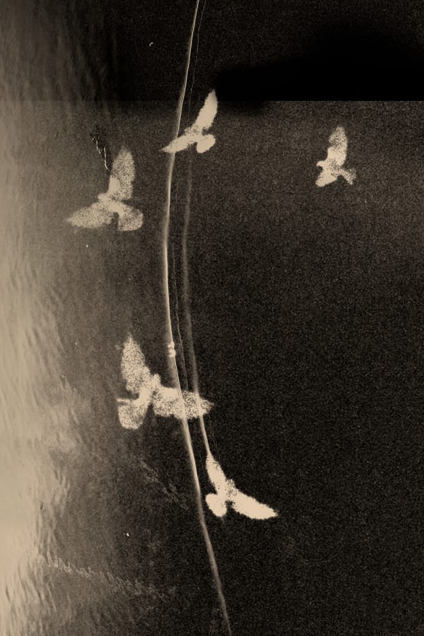 Paul Cupido, In Transit, 2019