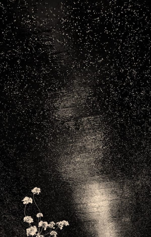 Albarrán Cabrera, The Mouth of Krishna #166, 2013/2017