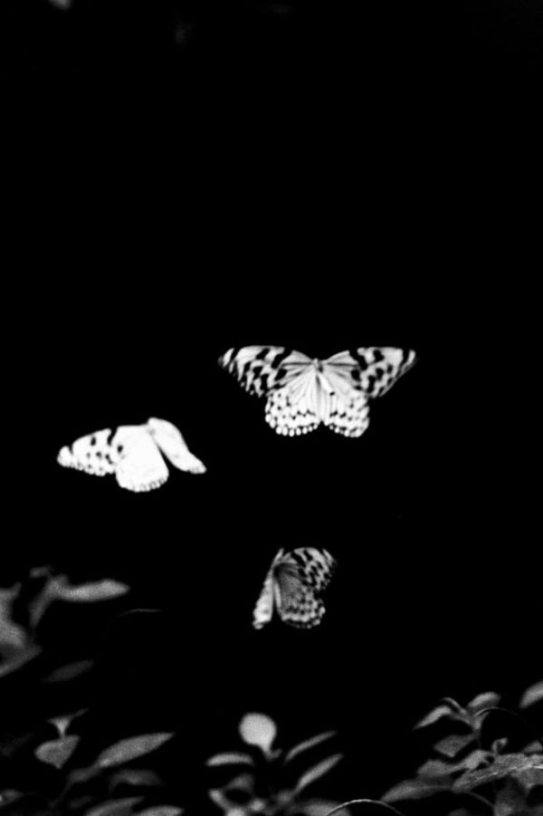 Munemasa Takahashi, Laying Stones 049, 2014