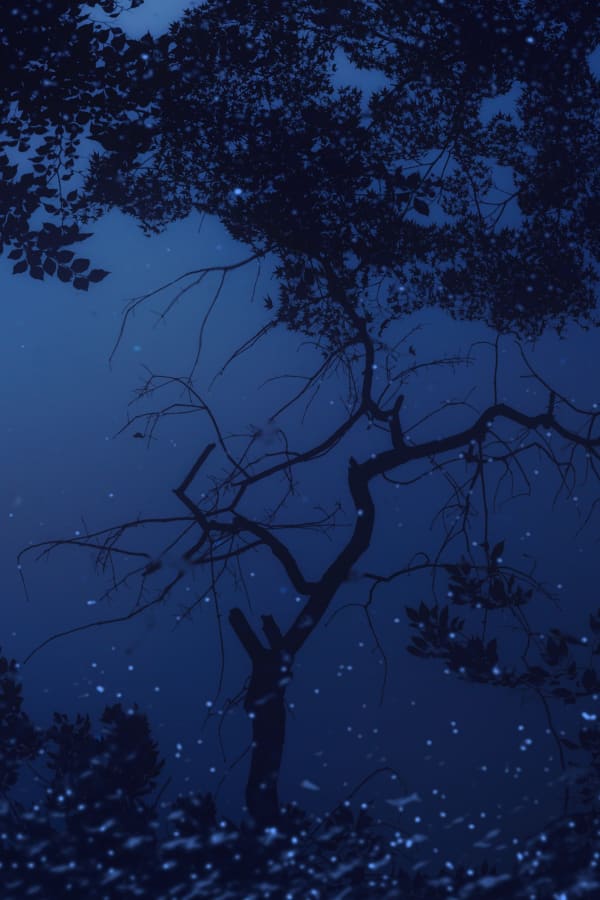 Albarrán Cabrera, The Mouth of Krishna #501, 2015/2018