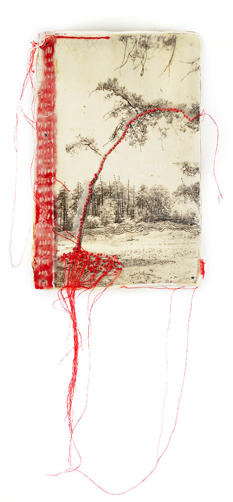 Jackie Mulder, Thought Trails #548, 2025