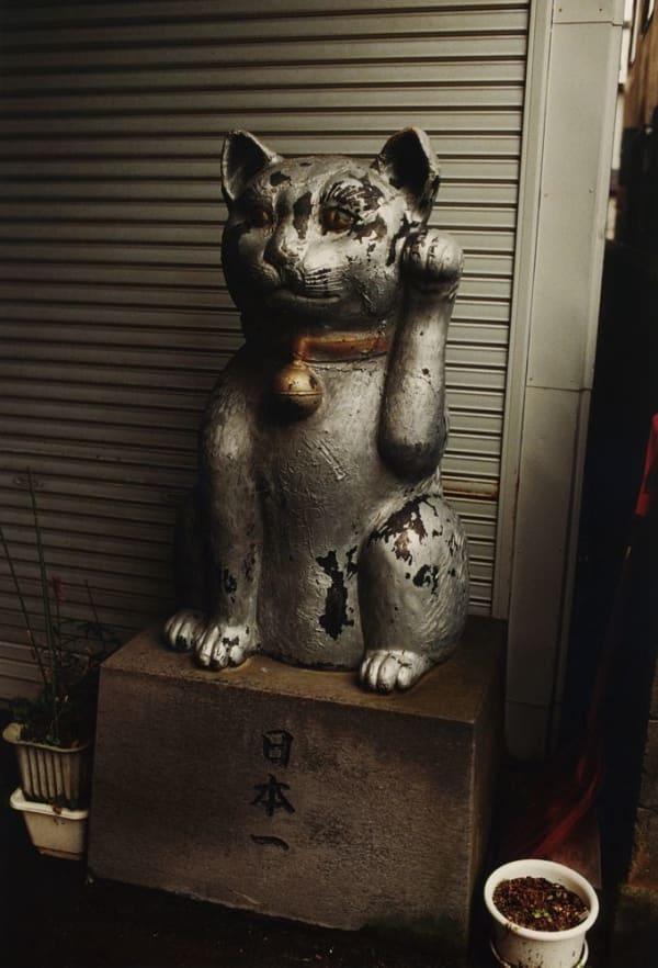 NEKO Project, Koji Onaka - Maneki neko, 2013