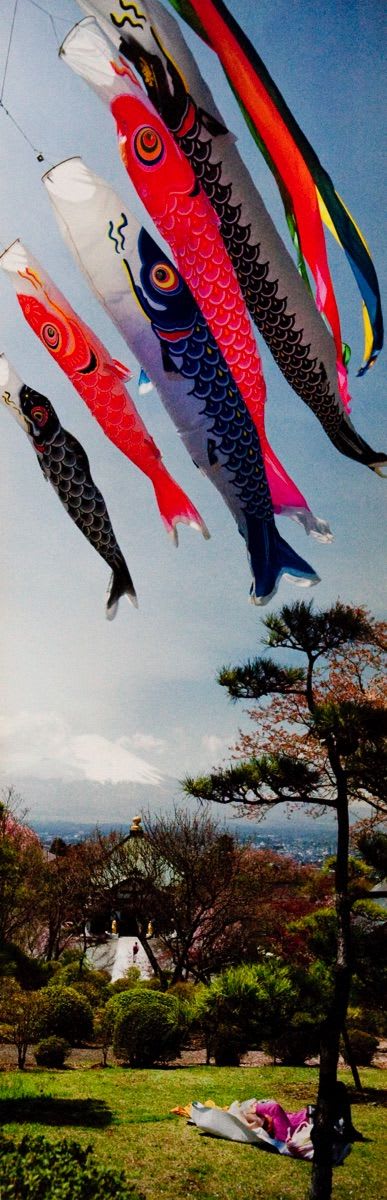 Chris Steele-Perkins, Carp Banners, Peace Park, near Gotemba, from the series Fuji 1999-2001, 2000
