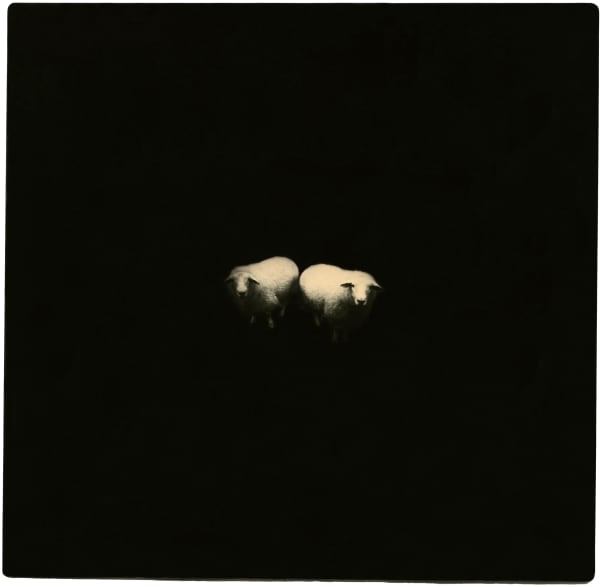 Miho Kajioka, BK0144, 2015