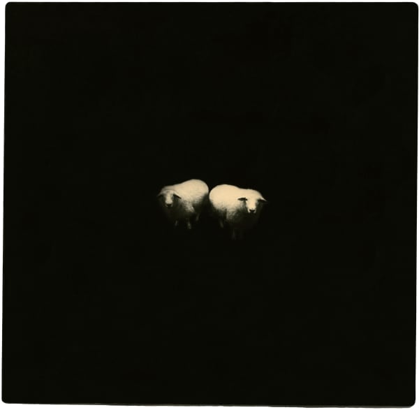 Miho Kajioka, BK0144, 2015