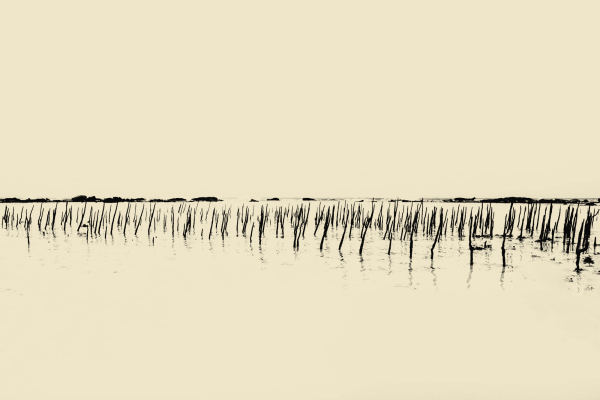 Paul Cupido, Crying Moon, 2019