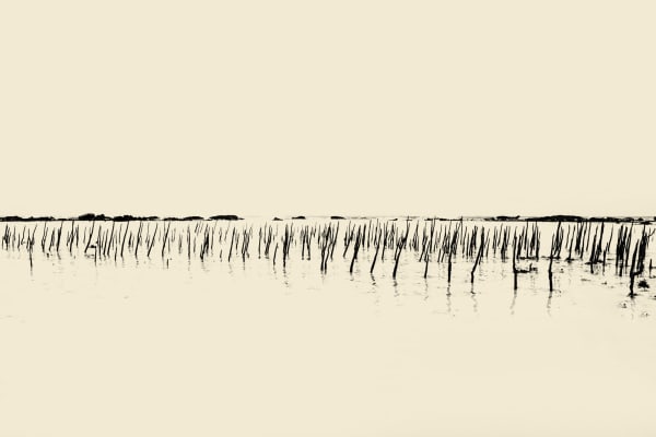 Paul Cupido, Crying Moon, 2019