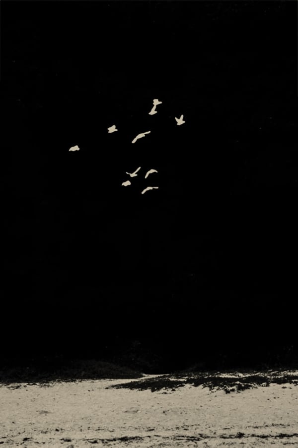 Paul Cupido, Eerie Nothingness, 2018