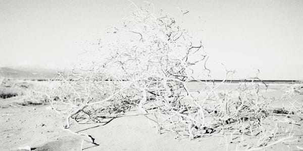 Margaret Lansink, In-between (Concept of Ma), 2019