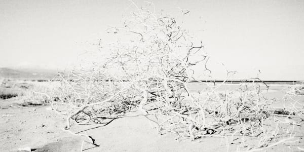 Margaret Lansink, In-between (Concept of Ma), 2019