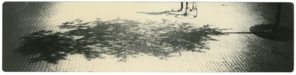 Miho Kajioka, BK0395, 2018