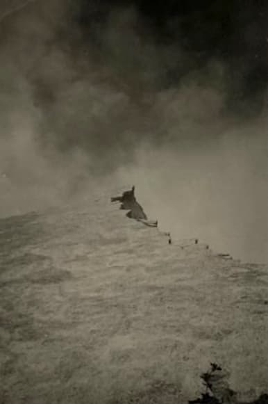 Thomas Vandenberghe - Untitled, n.d.