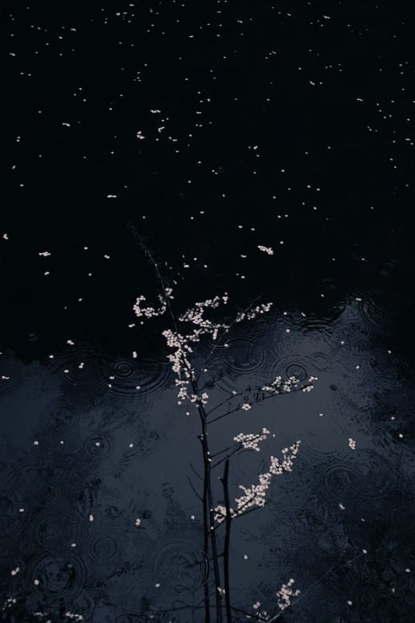 Albarrán Cabrera, The Mouth of Krishna #371, 2015