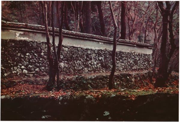 Ken Domon, Koji Junrai - Plate 094, 1963-1972