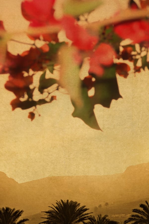 Albarrán Cabrera, The Mouth of Krishna #799, 2019