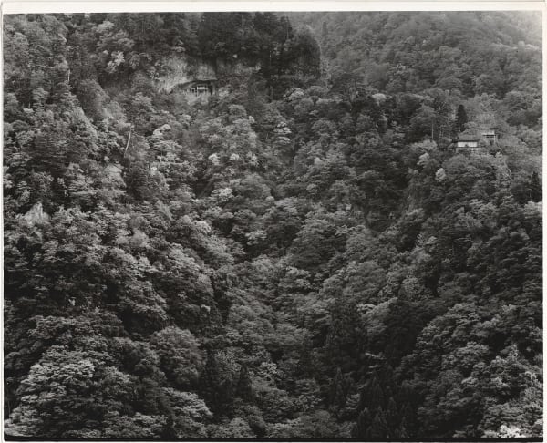 Ken Domon, Koji Junrai - Plate 085, 1963-1972