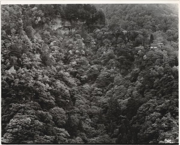 Ken Domon, Koji Junrai - Plate 085, 1963-1972