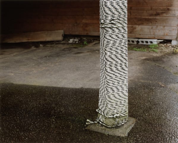 Yoko Ikeda, 1452-02 Murakami City, Niigata Prefecture, 2016