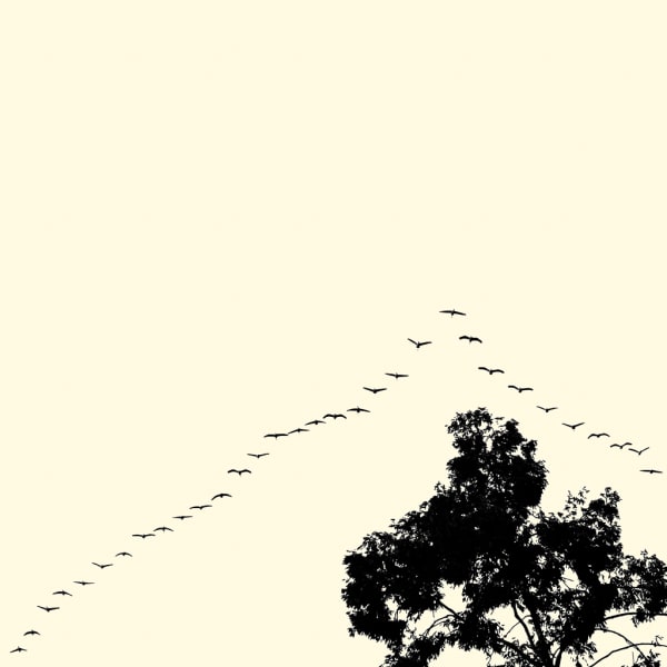 François Laxalt, Trente Deux II / Thirty two II, 2005