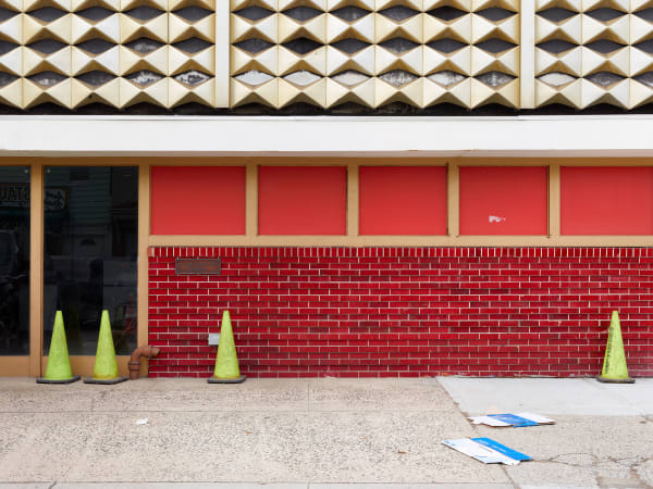 Bert Danckaert, True Nature #20 (New York), 2016