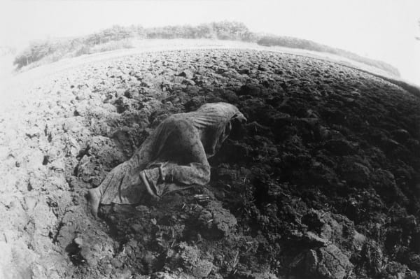 Eikoh Hosoe, Kamaitachi #16, 1968