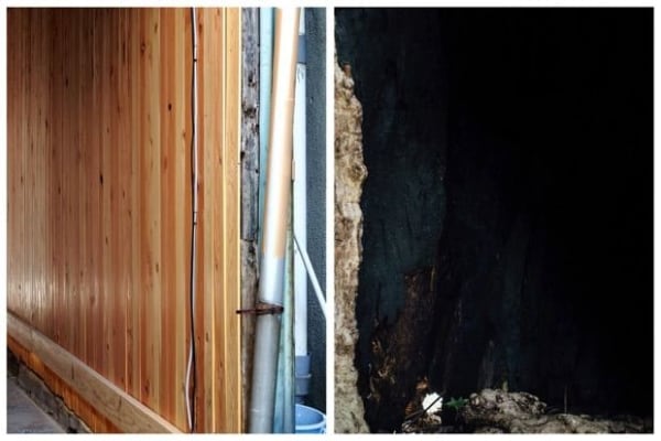 Otani/Nieuwenhuize, NIEUWENHUIZE OTANI / Dazaifu Tenmangu #1, 2016