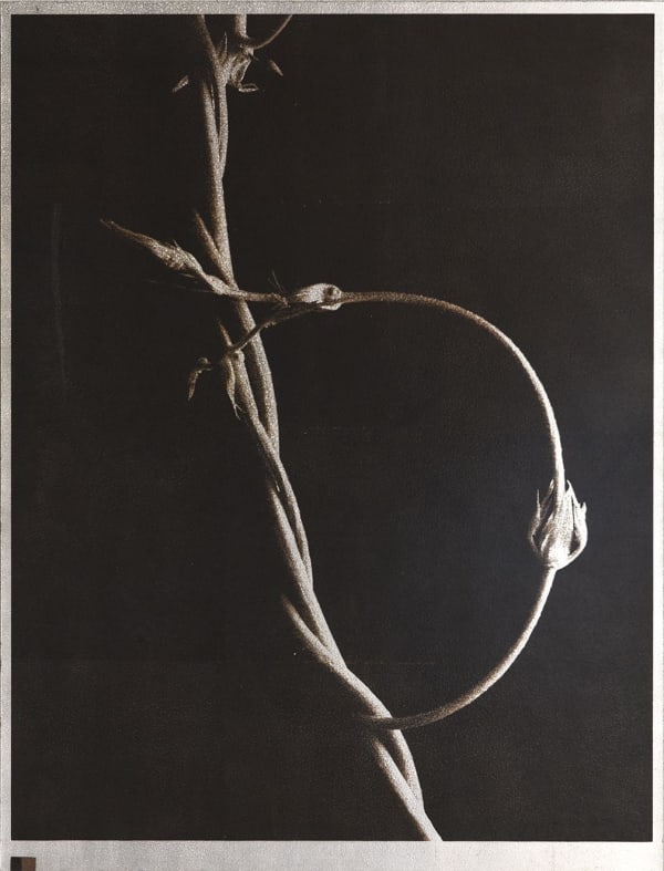 Norio Takasugi, gc-2, 2019