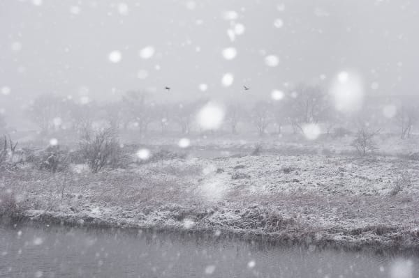 Asako Shimizu, Storyteller #6, 2012-2014/2022